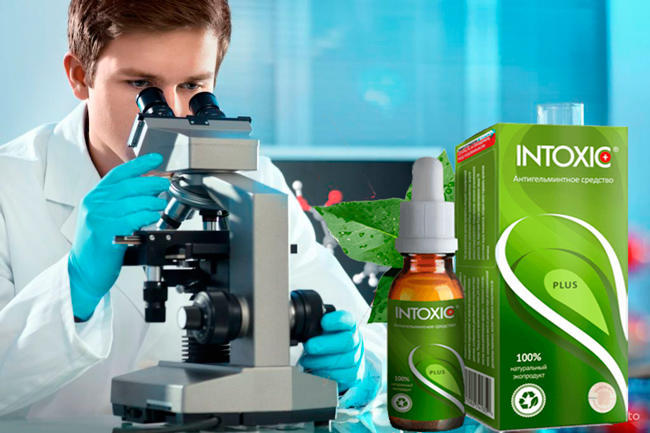 Intoxic Plus средство от паразитов и гельминтов купить