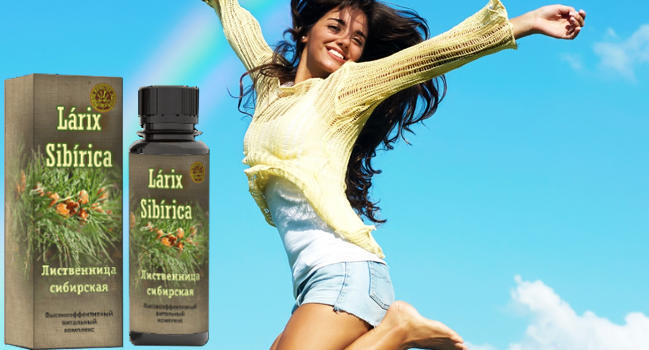 Larix Sibirica от стресса, усталости и ВСД действие