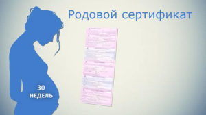 Нужно ли платить за роды врачу и акушерке? медицинские услуги