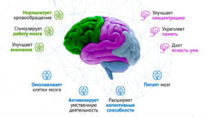 Genium нейрогенератор действие