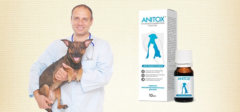Anitox от паразитов и глистов действие