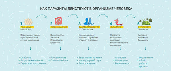 ГЕЛЬМИФАГ избавит вас от паразитов