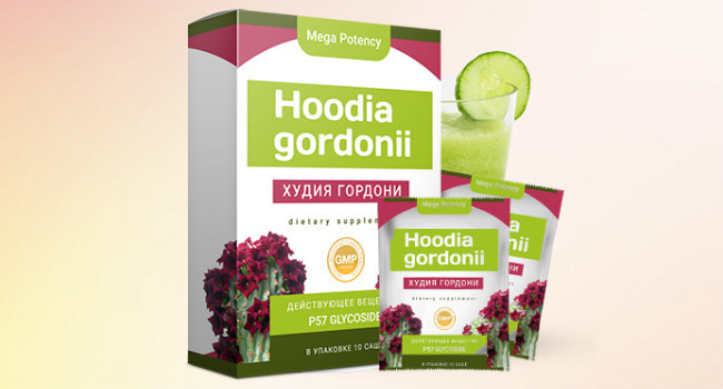 Hoodia Gordonii применение