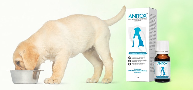Anitox от паразитов и глистов для кошек и собак инструкция